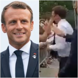 Man Slaps French President Macron