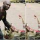 Nigerians React To Viral 'Juju' Photo Placed Near Umuahia Police Post