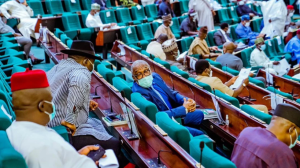 House Of Reps Steps Down PIB After Rowdy Session