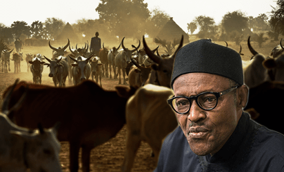 Buhari Has Been Unfortunately Misinformed On Grazing Reserves – Senate Spokesperson Insists