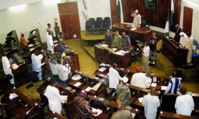 Ogun Assembly Passes Anti-open Grazing Bill