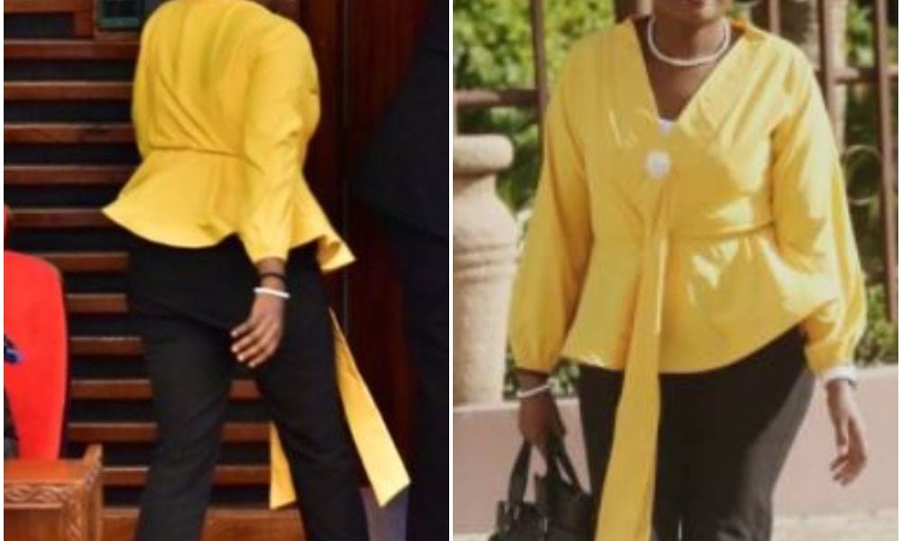 Female Politician Thrown Out From Parliament For Wearing Tight Trousers |Photos