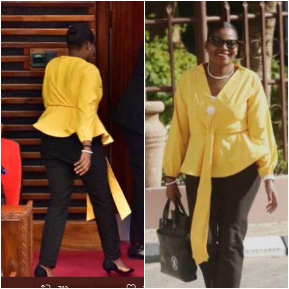 Female Politician Thrown Out From Parliament For Wearing Tight Trousers |Photos