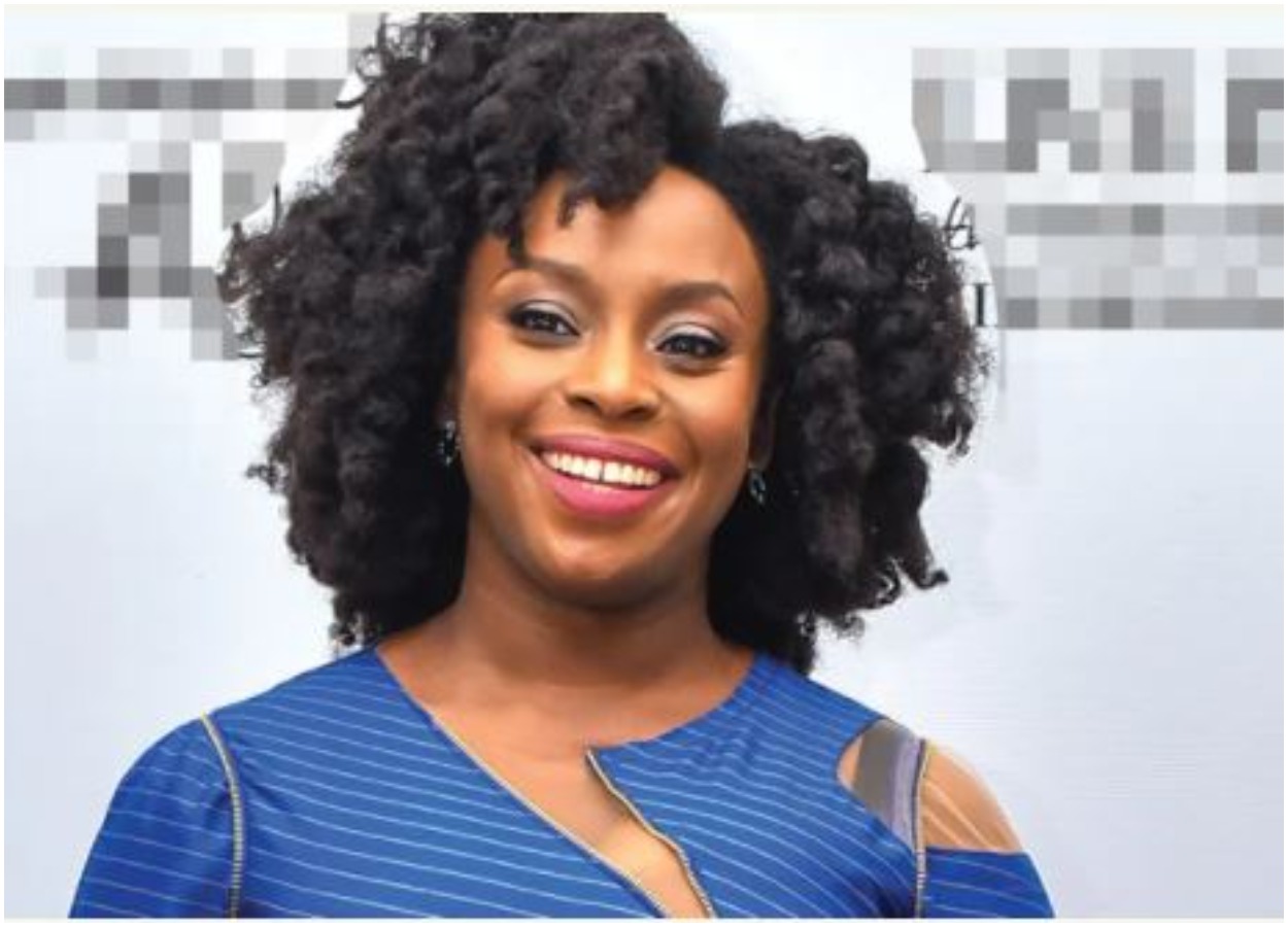 Why I Wrote Biden Over 2023 Presidential Election - Chimamanda Adichie