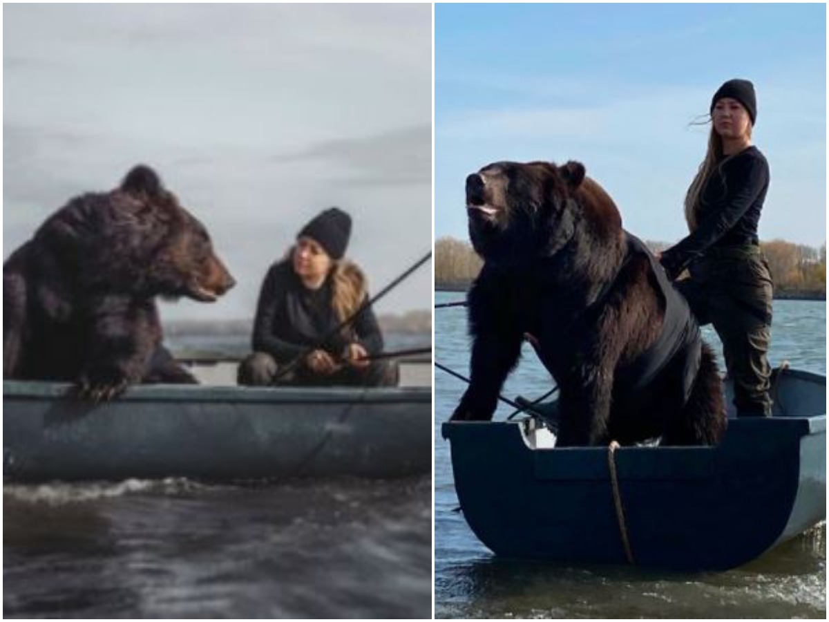 Fearless Lady Goes Fishing In A Tiny Boat With Giant Brown Bear