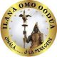 BREAKING: Adeleye Resigns As Spokesperson For Ilana Omo Oodua