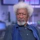 Those Accusing Me Of Fraudulent Academic Records Have 30 Days To Bring Evdence - Soyinka