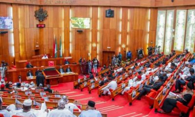 Breaking: Rowdy Session In Senate As Lawmakers Fight Over Sitting Arrangement