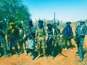 Bandits Raid Kaduna Communities, Kidnap 40 Worshippers – SOKAPU Claims