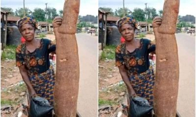 Female Farmer Shows Off Huge Cassava Tuber She Harvested From Her Farm