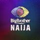 Big Brother Naija Season 7 Auditions Begin - See How To Audition And Participate