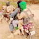 Bandits Shoot Dead Newborn In Kaduna, Release Abducted Mother