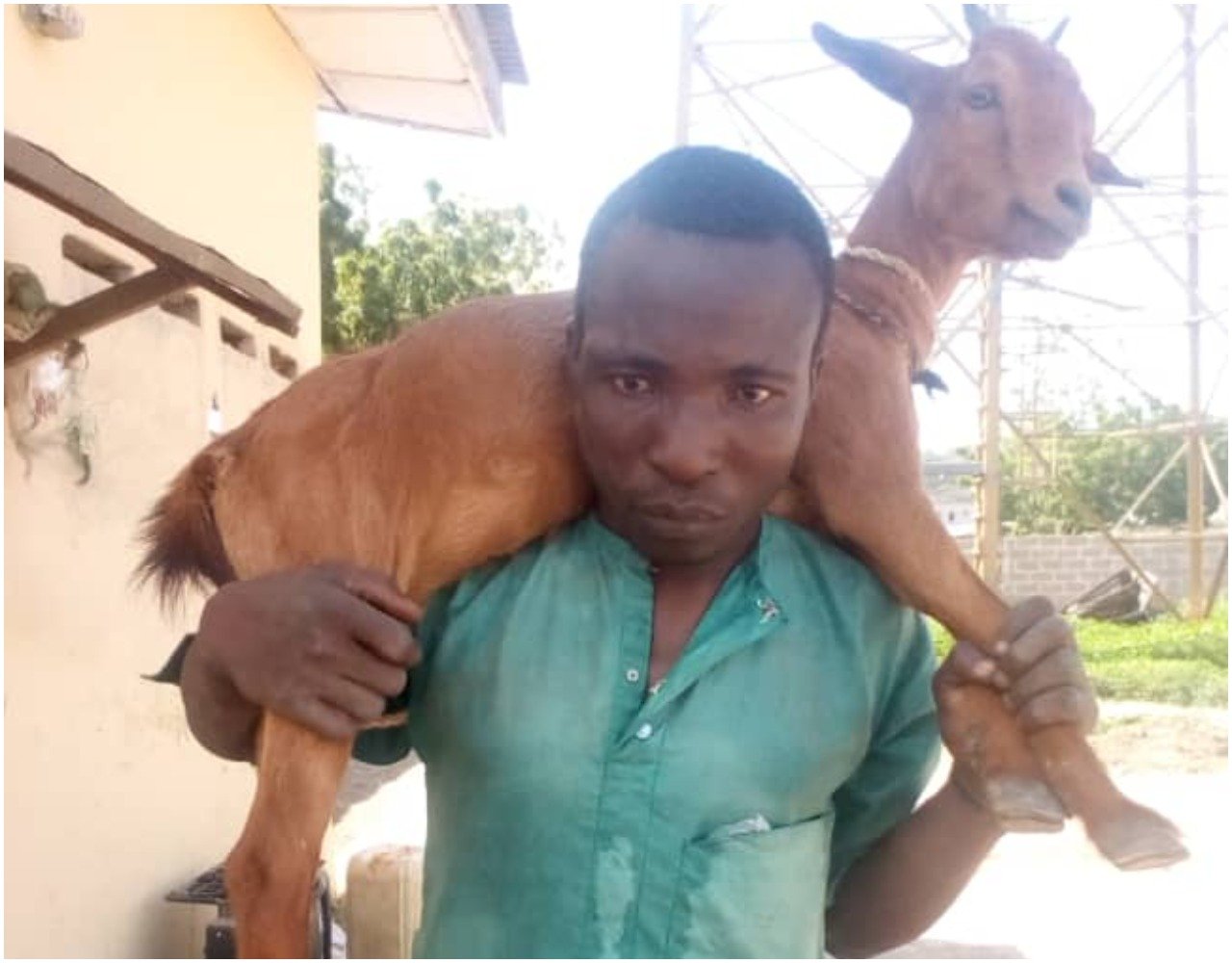 Goat Theft Arrested in Kaiama
