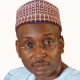 Those Who Opposed Tinubu's Emergence Now Getting FG Appointments - Lukman Calls Out Uzodinma, Others