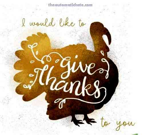 thanksgiving message on picture with turkey illustration.