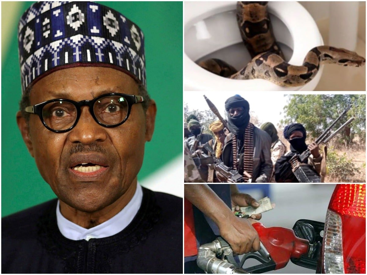 The Week In Review: Fuel Subsidy Wahala, Bandits Now Terrorists, Snake Invasion And More