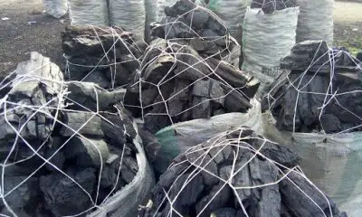 98,000 Nigerian Women Die From Cooking With Charcoal, Firewood Yearly - Expert Reveals