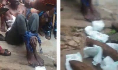 Oyo State Govt Reacts To Allegation That Two Students Were Turned To Yam By Suspected Ritualist