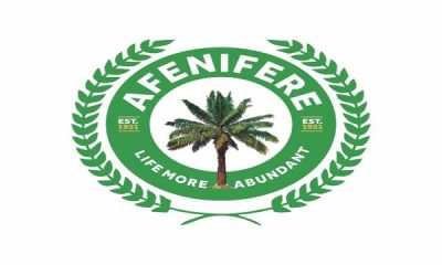 2023: Politicians Planning To Use Security, INEC To Rig Election – Afenifere Alleges