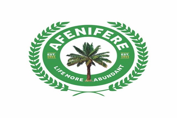 2023: Politicians Planning To Use Security, INEC To Rig Election – Afenifere Alleges