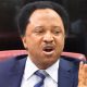 Buhari Govt Hurriedly Concessioning Public Assets - Shehu Sani