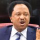 Shehu Sani Reacts As Tinubu Meets UAE Leadership Over Visa Ban, Others