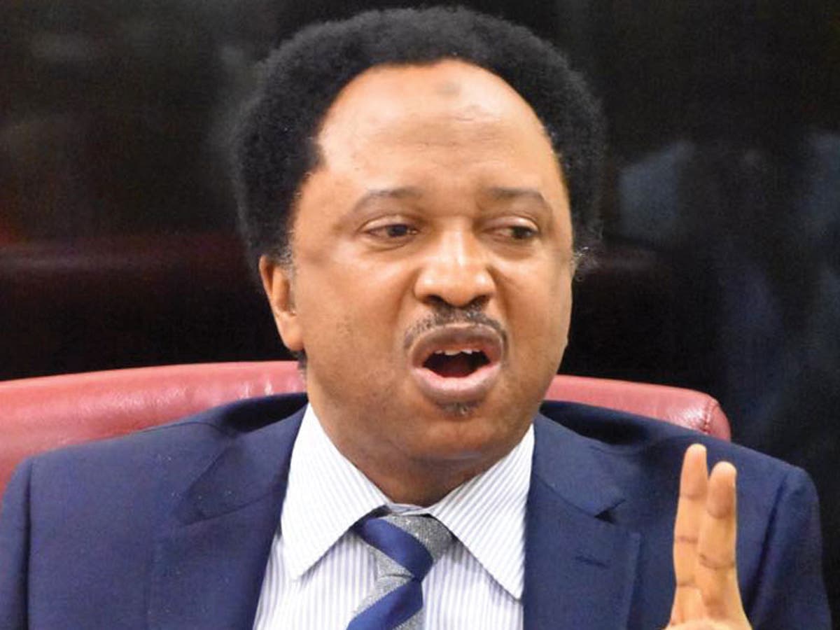 Old Naira Notes: Monster Of Vote Buying Will Be Unchained - Shehu Sani Warns