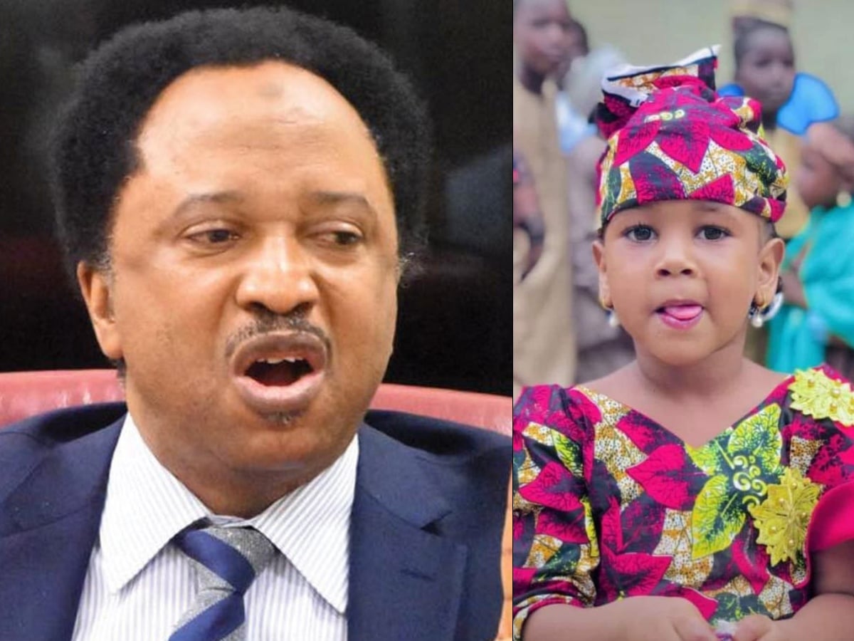 Shehu Sani Reacts To Kano School Girl Killing