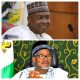 Full Statement Of NEF's Adoption Of Saraki, Mohammed As PDP Consensus Candidates