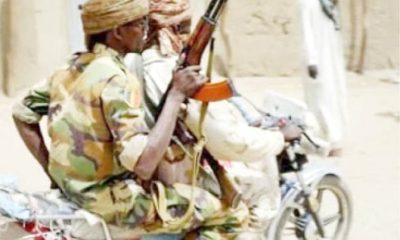 Bandits Kill Nine In Fresh Attack In Kaduna Community