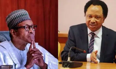Buhari Is One Of The Worst Presidents To Ever Lead Nigeria – Shehu Sani