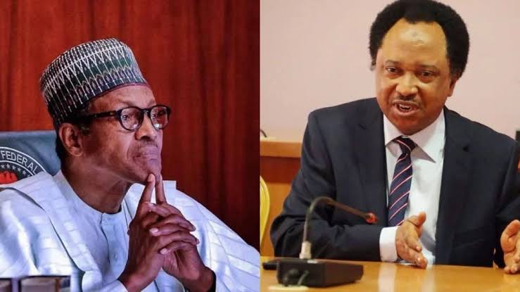 Shehu Sani Names Five People That Can Succeed Buhari If He Is Impeached