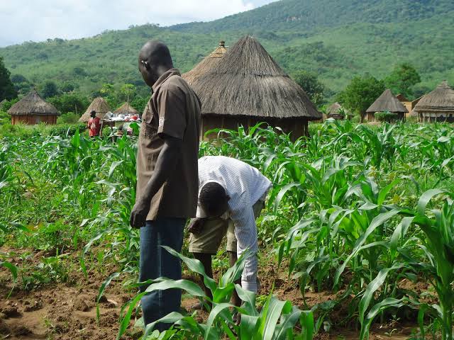 IFAD Moves To Create Easy Access To Agric Credit Facility For Farmers In Taraba