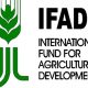 $1.6trn Required To Boost Degraded Hectares Of Land by 2030 - IFAD