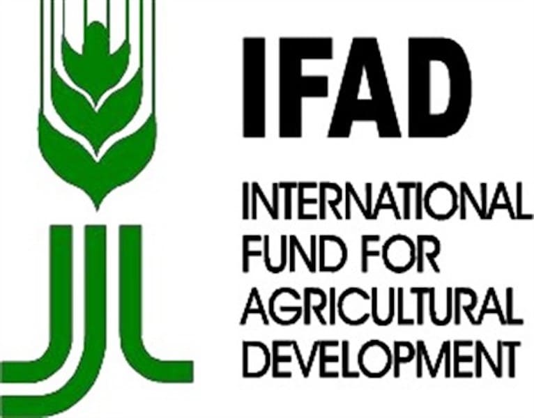 $1.6trn Required To Boost Degraded Hectares Of Land by 2030 - IFAD