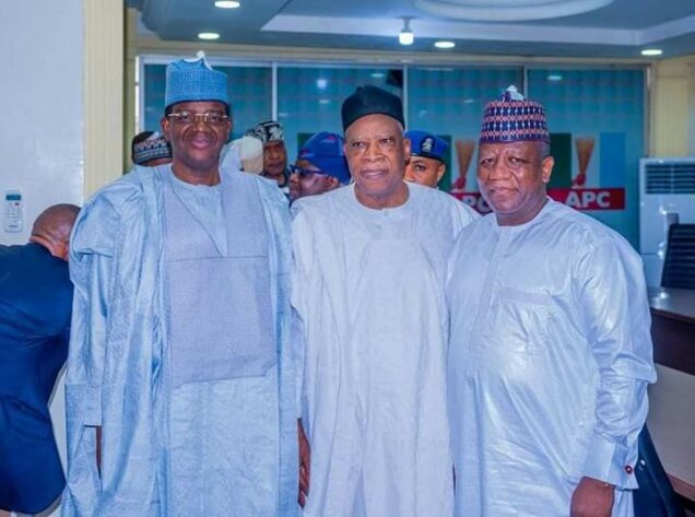 2023 Elections: Why I Settled With Matawalle - Yari Opens Up