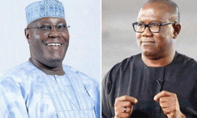 2027: Atiku Is Against Igbos, Wants Peter Obi To Be His Vice President - Ohanaeze Ndigbo