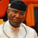 Members Of State Assemblies Have Turned To Governors' Puppets - Omo-Agege