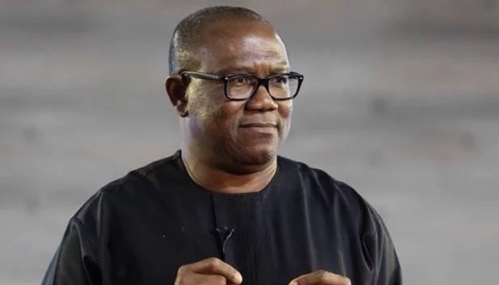 2023: What Peter Obi Told INEC About His Education, Occupation