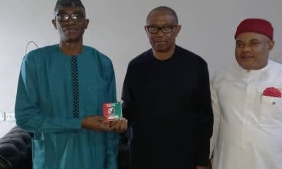 Peter Obi Dumps PDP For LP, Abaribe Joins APGA, Kwankwaso Moves To NNPP - Major Defections Of 2022