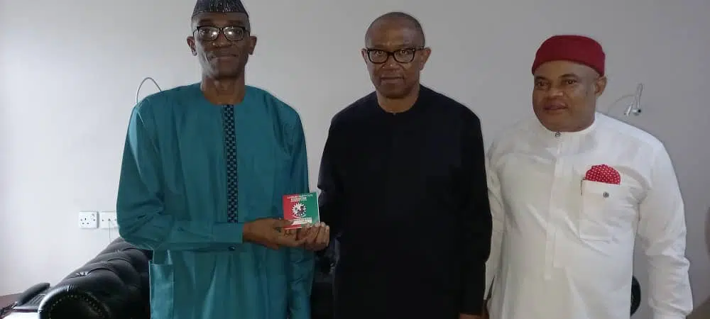Peter Obi Dumps PDP For LP, Abaribe Joins APGA, Kwankwaso Moves To NNPP - Major Defections Of 2022