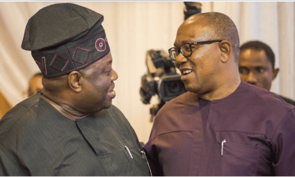 2023: It Is Almost Impossible For Peter Obi To Win - Dele Momodu