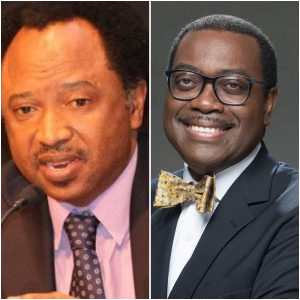 Shehu Sani Reacts As Adesina Obtains N100m APC Presidential Form