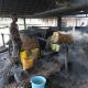 Mixed Reactions Trail Proposed Ban Of Burukutu (Local Gin) By Adamawa Assembly
