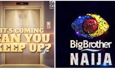 Big Brother Naija show