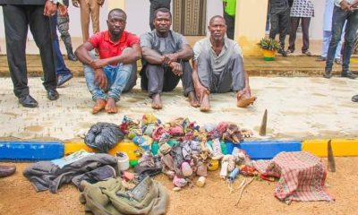 Police Nab Three Suspects For Plucking Teenager's In Bauchi
