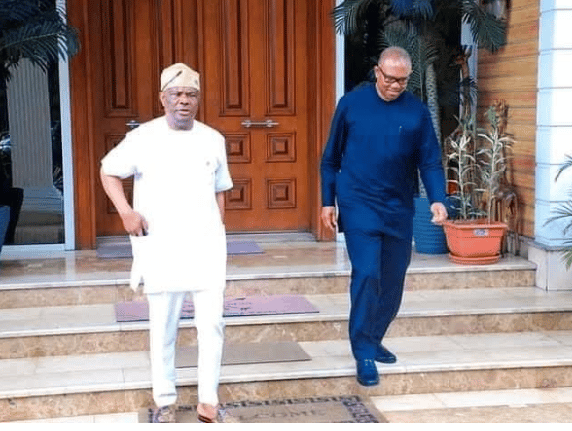 PDP Crisis: Labour Party Discussing With Wike, Others To Support Peter Obi
