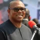 2023: Why Peter Obi's Popularity Is Growing Nationwide - Obahiagbon