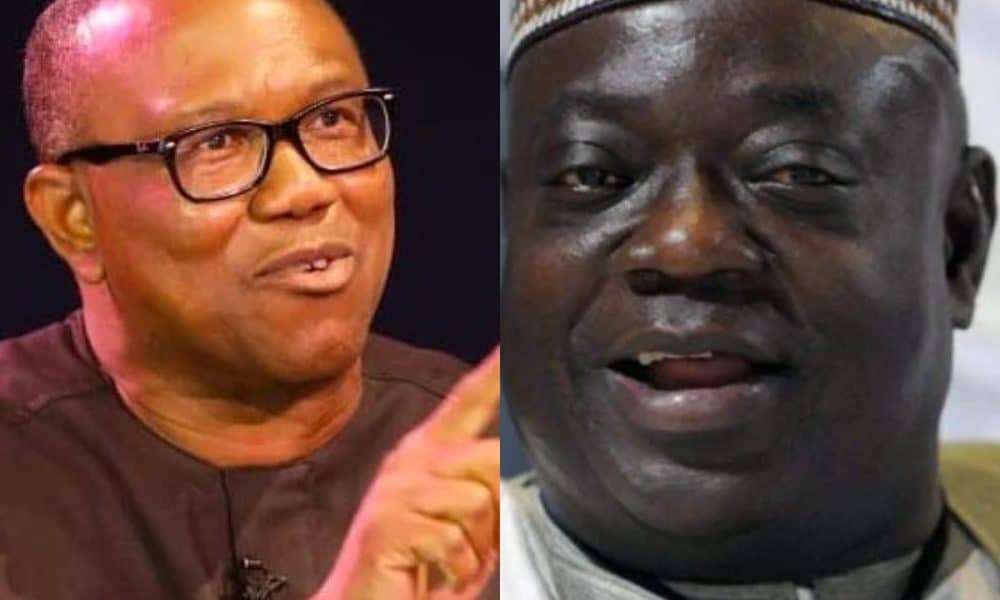 Nigerians React As Babangida Aliyu Says 2023 Is Too Early For Peter Obi To Become President