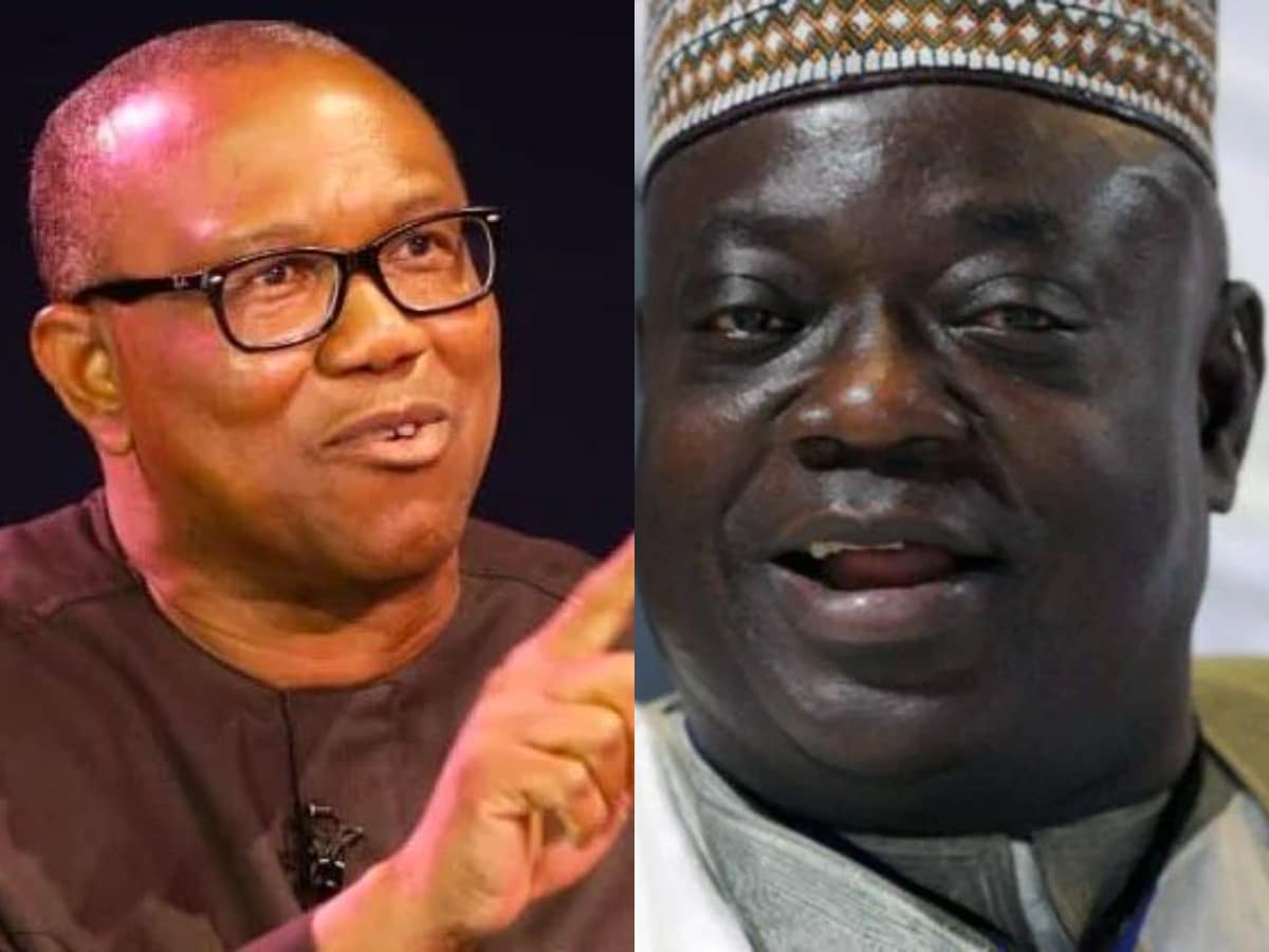 Nigerians React As Babangida Aliyu Says 2023 Is Too Early For Peter Obi To Become President